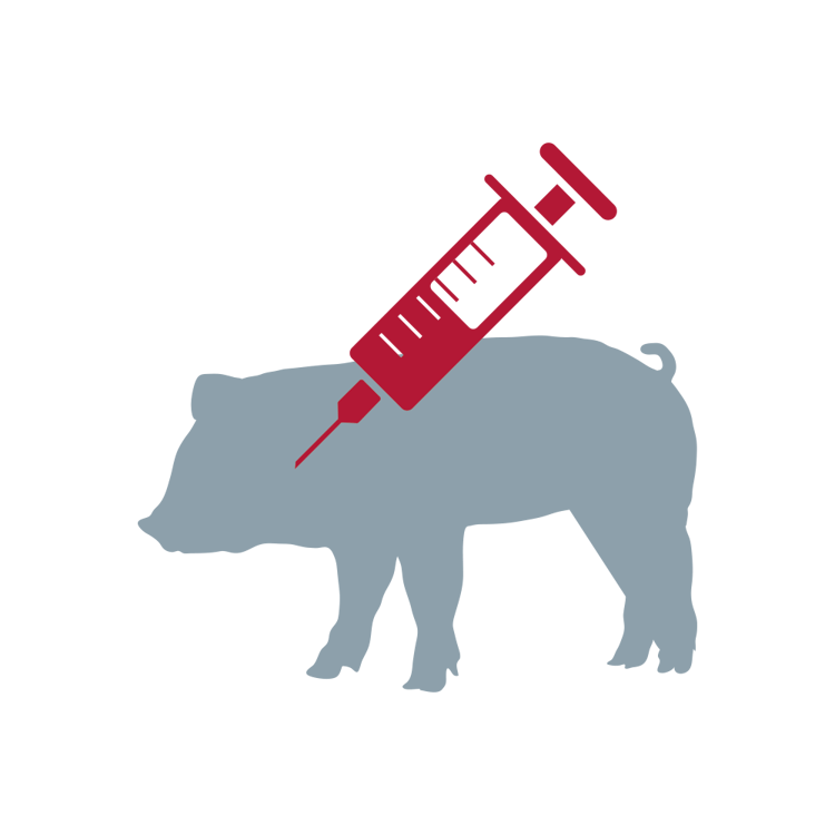 Treatment of Iron Deficiency in Pigs